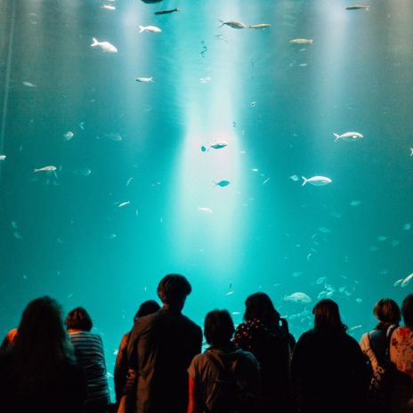 Qzeaneum in Stralsund