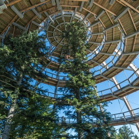 Baumturm im Nationalparkzentrum Lusen