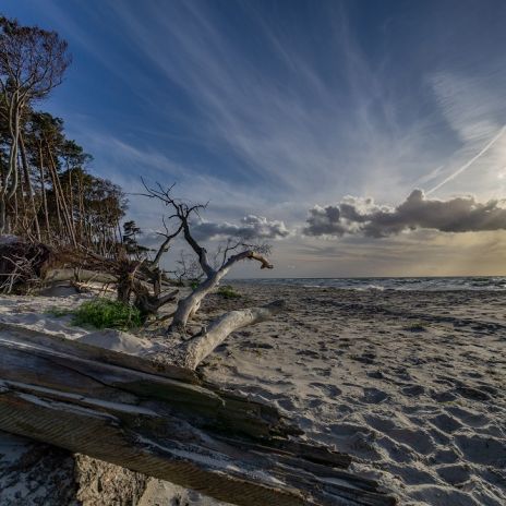 Weststrand von Prerow Weststrand von Prerow