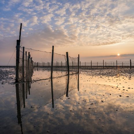 Fischgarten auf der Nordseeinsel Föhr