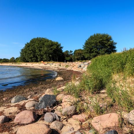 Naturstrand im Ostseebad Thiessow Naturstrand im Ostseebad Thiessow