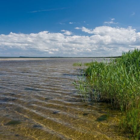 Einsamer Naturstrand nördlich von Karlshagen Einsamer Naturstrand nördlich von Karlshagen