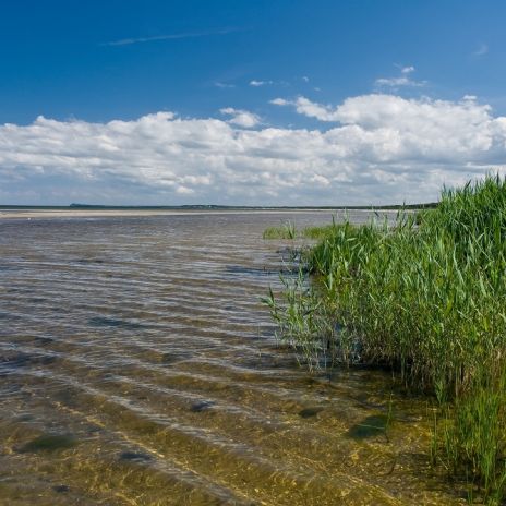 Einsamer Naturstrand nördlich von Karlshagen