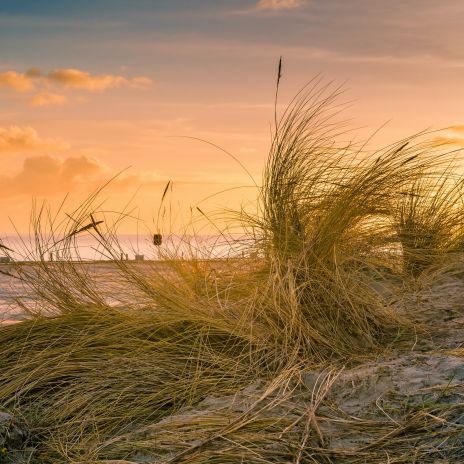Urlaub am Wattenmeer an der Nordseeküste Urlaub am Wattenmeer an der Nordseeküste