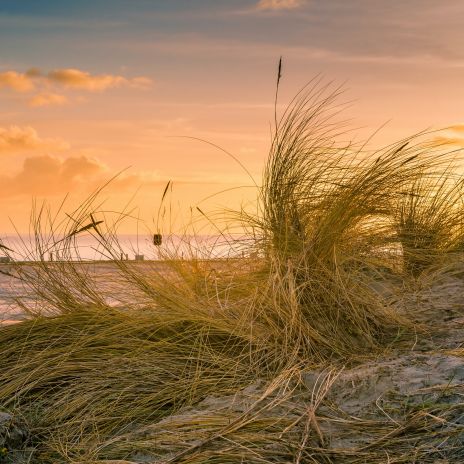 Urlaub am Wattenmeer an der Nordseeküste