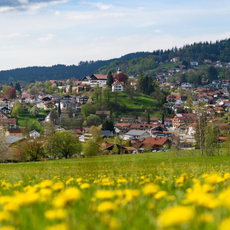Stadtbild von Bodenmais