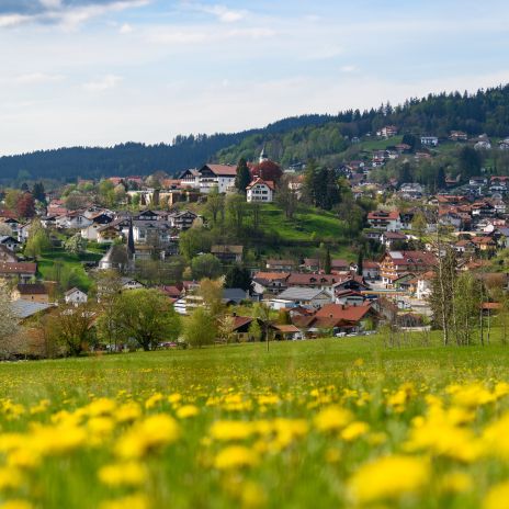 Stadtbild von Bodenmais Stadtbild von Bodenmais