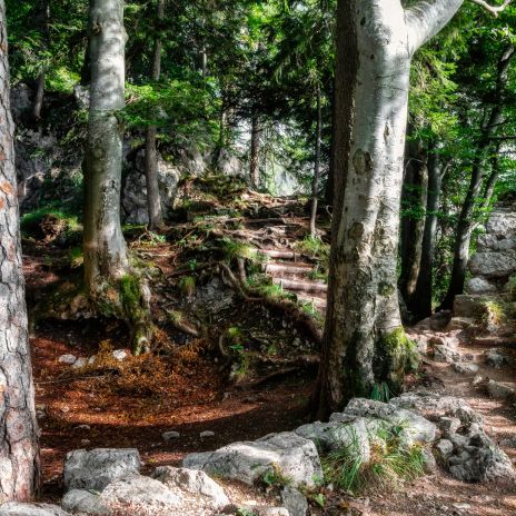 Burgruine Hohenwaldeck beim Schliersee