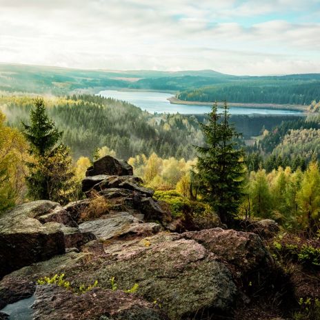 Blick auf die Talsperre Flaje im Erzgebirge Blick auf die Talsperre Flaje im Erzgebirge