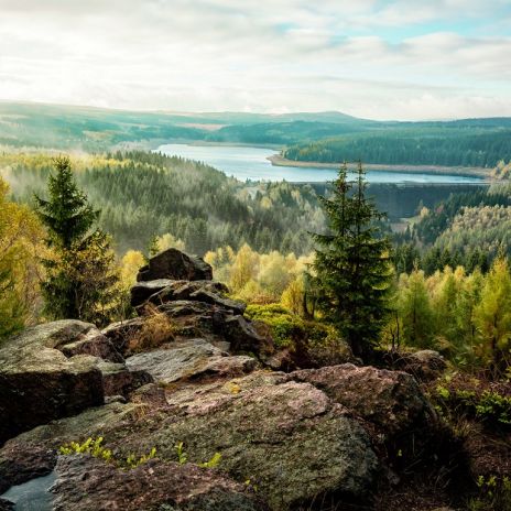 Blick auf die Talsperre Flaje im Erzgebirge