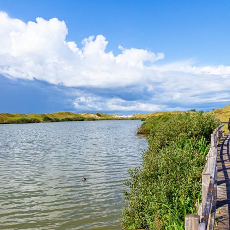 Wanderweg am Wriakhörn See auf Amrum