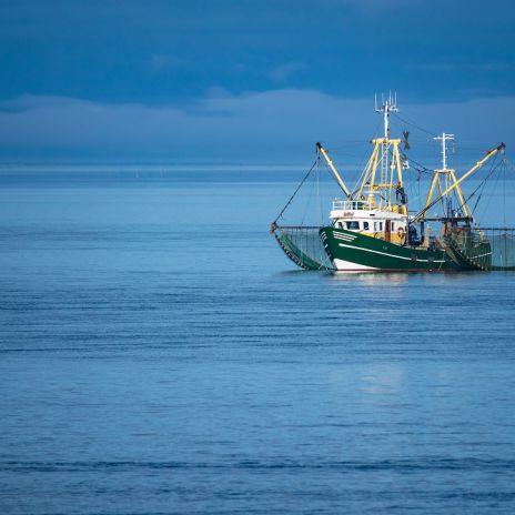 Krabbenkutter vor der Insel Föhr