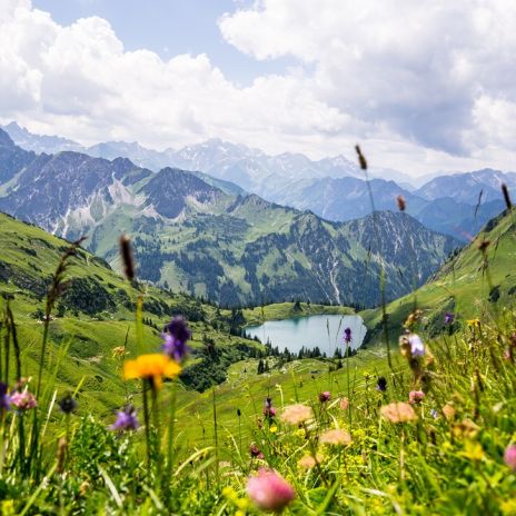 Seealpsee in Oberstdorf Seealpsee in Oberstdorf