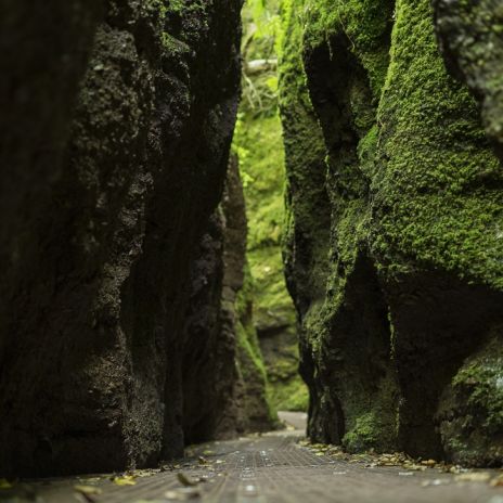 Drachenschlucht bei Eisenach