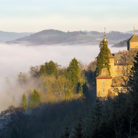 Burg Schnellenberg im Nebel