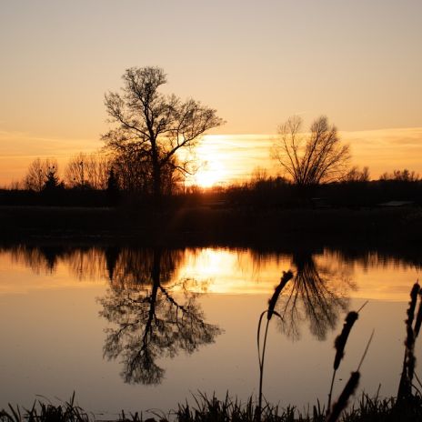 Sonnenuntergang am Teterower See