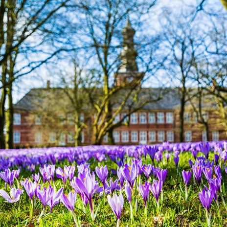 Schlossgarten Husum