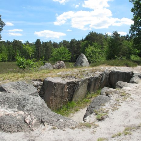 Das Hünenbett IV der Oldendorfer Totenstatt Das Hünenbett IV der Oldendorfer Totenstatt
