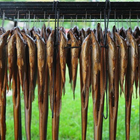 Räucherfisch an der Müritz Räucherfisch an der Müritz