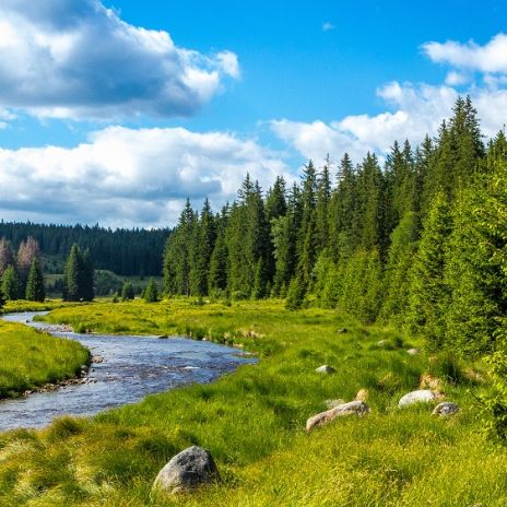 Flusslauf im Nationalpark Flusslauf im Nationalpark