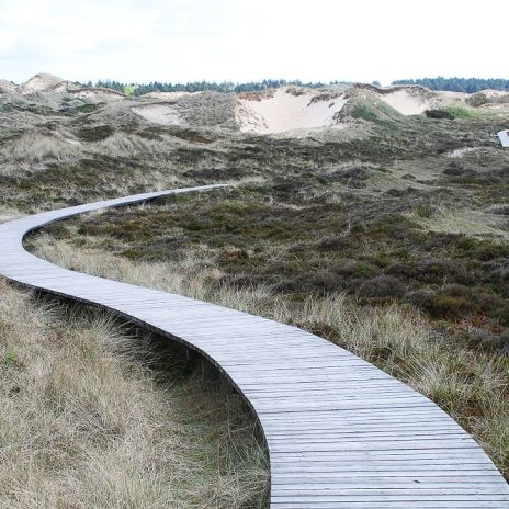 Wanderweg durch die Dünenlandschaft Amrums