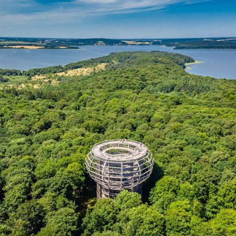 Baumwipfelpfad in Prora auf Rügen Baumwipfelpfad in Prora auf Rügen