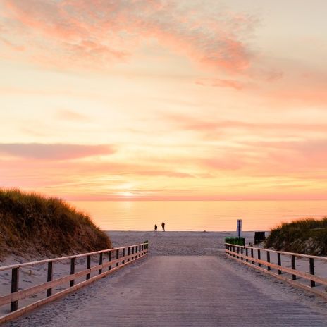 Weg zum Strand in Dierhagen