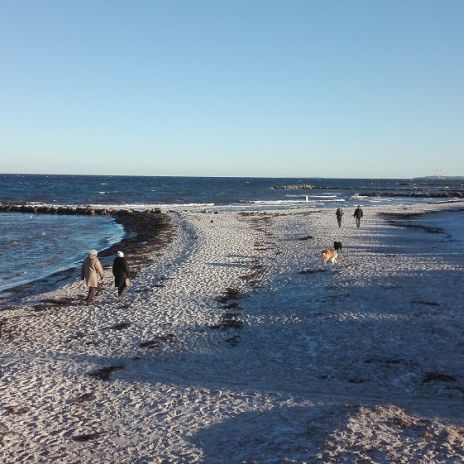 Spaziergänger am Strand bei Schönberg Spaziergänger am Strand bei Schönberg