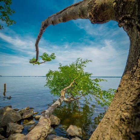 Ufer am Steinhuder Meer im Sommer Ufer am Steinhuder Meer im Sommer