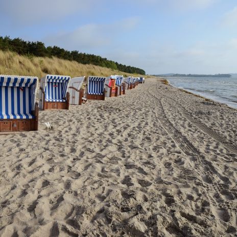 Strandkörbe am Sandstrand von Thiessow