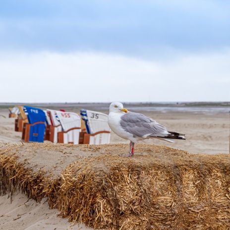 Strand von Norddorf Strand von Norddorf
