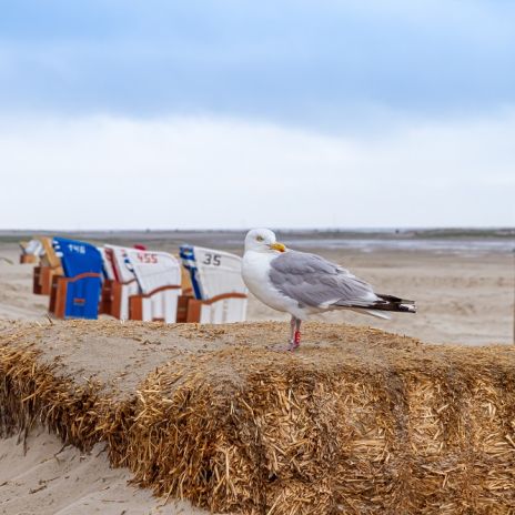 Strand von Norddorf