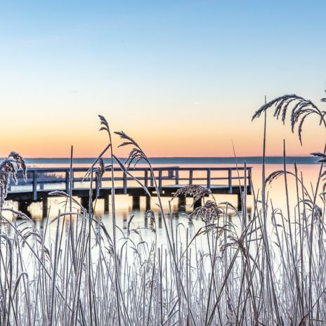 Winter am Bodden