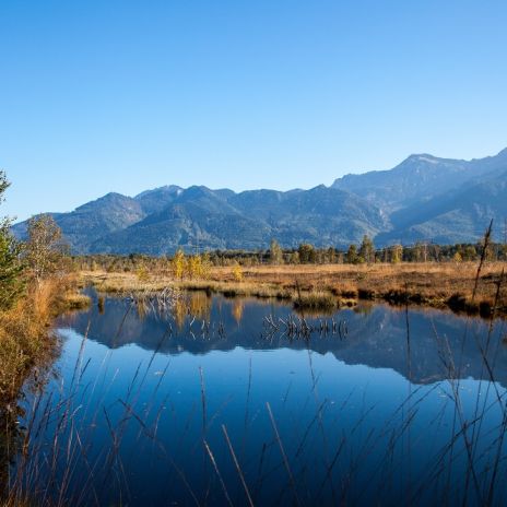 Moorlandschaft Kendlmühlfilzen bei Grassau Moorlandschaft Kendlmühlfilzen bei Grassau