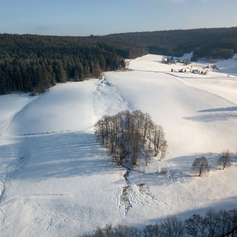 Landschaft bei Triberg im Winter