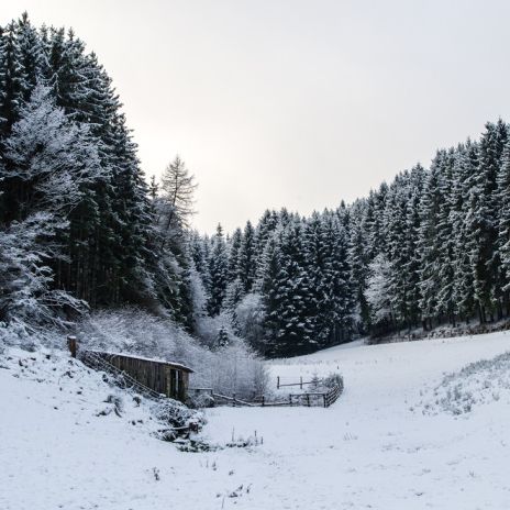 Winterlandschaft in der Umgebung von Hellenthal