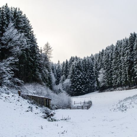 Winterlandschaft in der Umgebung von Hellenthal Winterlandschaft in der Umgebung von Hellenthal