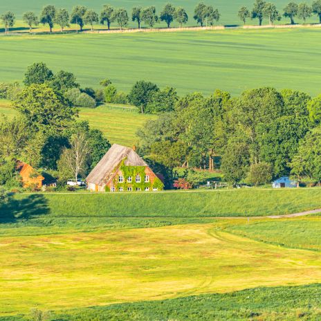 8-Urlaub auf einem Bauernhof in Niedersachsen