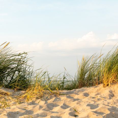 Dünen an der Nordsee bei Horumersiel Dünen an der Nordsee bei Horumersiel