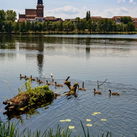 Tiefwarensee bei Waren an der Müritz Tiefwarensee bei Waren an der Müritz