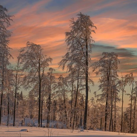 Bayerischer Wald bei Bodenmais im Winter Bayerischer Wald bei Bodenmais im Winter