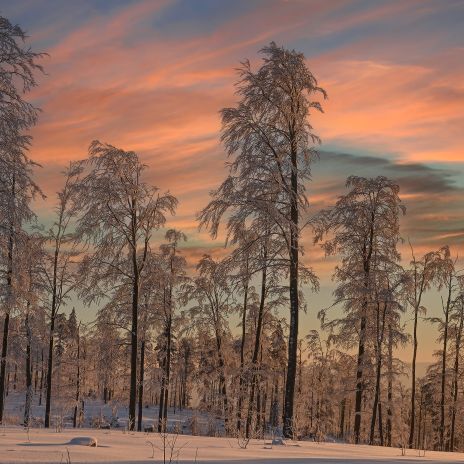 Bayerischer Wald bei Bodenmais im Winter