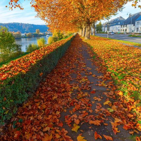 Moselufer in Trier im Herbst Moselufer in Trier im Herbst