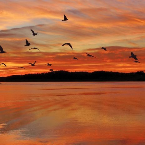 Abendstimmung am Müritz-Nationalpark