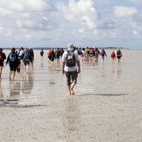 Wattwanderung auf der Insel Föhr Wattwanderung auf der Insel Föhr