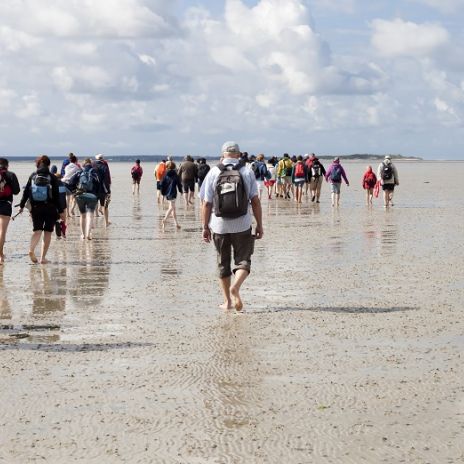 Wattwanderung auf der Insel Föhr