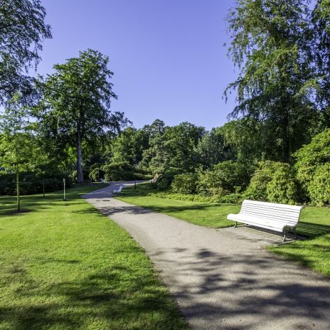 Park in Graal-Müritz Park in Graal-Müritz