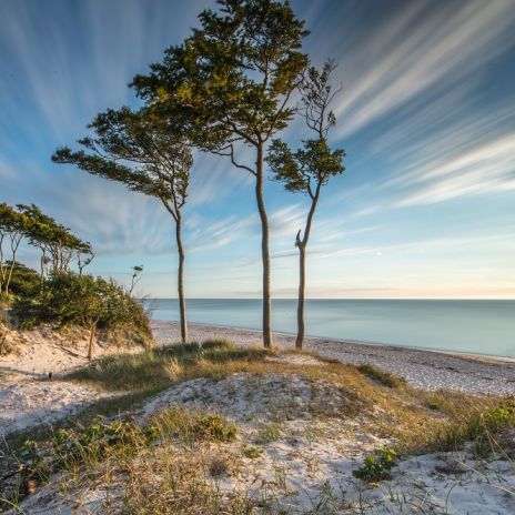 Ostseeküste auf dem Darß Ostseeküste auf dem Darß
