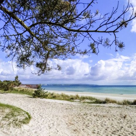 Strand bei Prora auf Rügen Strand bei Prora auf Rügen