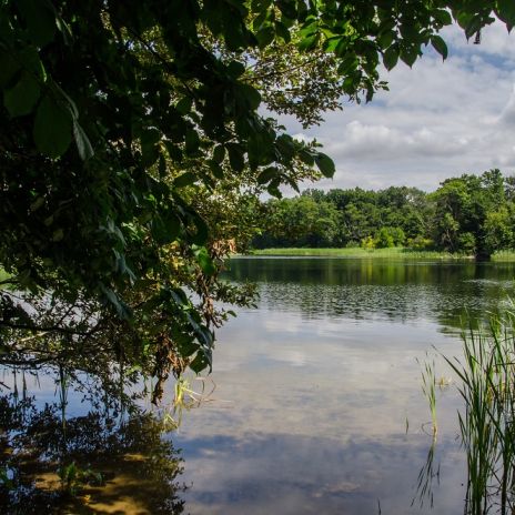 Krakower See bei Krakow am See Krakower See bei Krakow am See